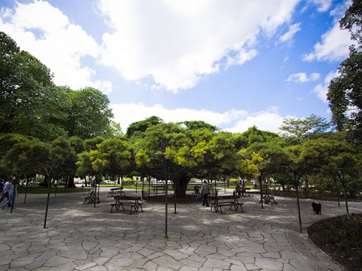 Lisboa, Capital verde europea 2020 | Blog