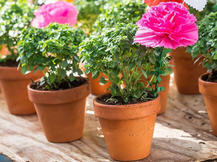 Oporto en junio | Blog