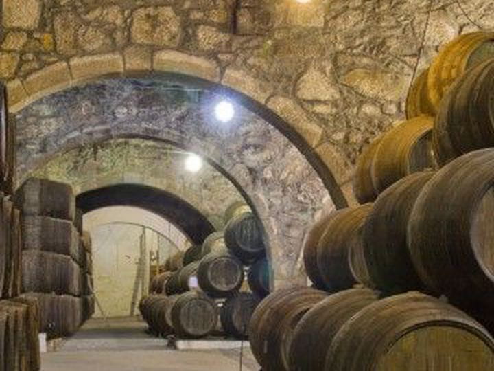 Visitar bodegas de Oporto | Free Tour Oporto