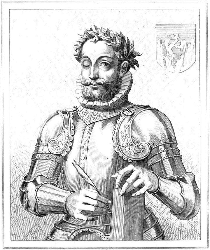 Who was Luís de Camões? The most important writer of Portugal