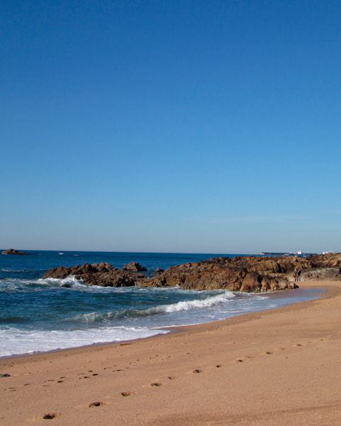 Which are the best beaches in Porto? The Green Coast