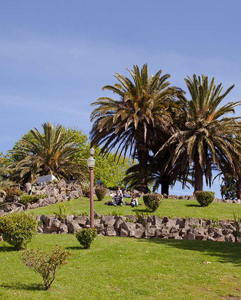 Jardim do Morro. Panoramic view of Porto