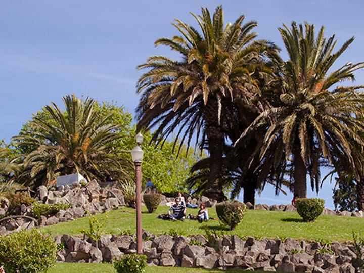 Jardim do morro. Vista panorámica de Oporto
