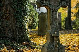 Free tour Legends of Santiago and Galicia